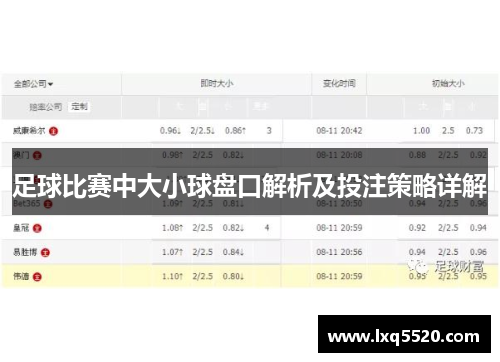 足球比赛中大小球盘口解析及投注策略详解